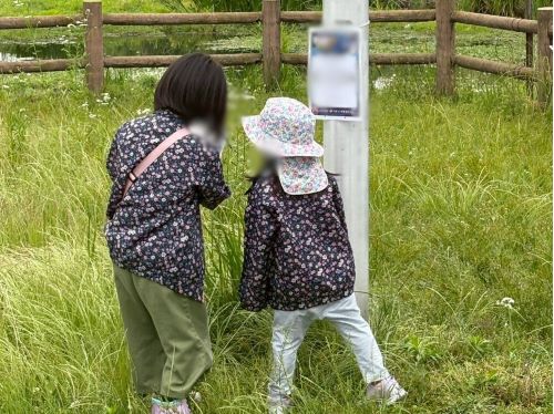 2025/5/24 大阪府 東大阪市 花園中央公園