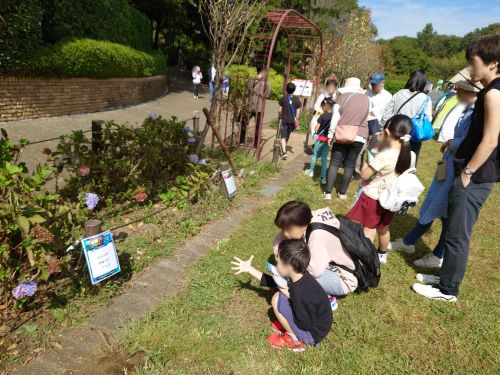 2023/10/28 神奈川県 相模原市 麻溝公園