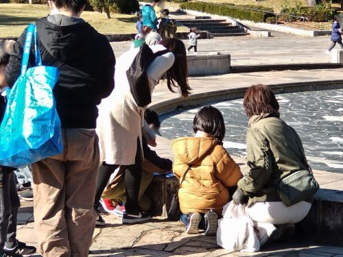 2023/11/25 宮城県 仙台市 榴岡公園