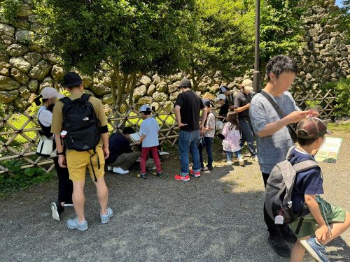 2024/5/3 静岡県 浜松市 浜松城公園
