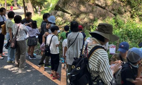 2024/9/21 和歌山県 和歌山市 和歌山城公園