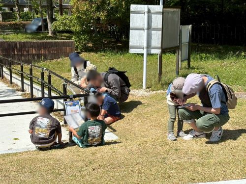 2025/5/3 福岡県 福岡市 百道中央公園
